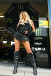 27-06-2009 MOTORSPORT: ALICE TT ASSEN, MOTO GP: ASSEN

girl , babe , babes
 
FOTO: MARC JANS