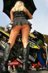 27-06-2009 MOTORSPORT: ALICE TT ASSEN, MOTO GP: ASSEN

girl , babe , babes
 
FOTO: MARC JANS