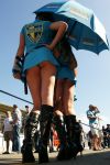 26-06-2010 MOTORSPORT: MOTOGP TT: ASSEN

Babes

Foto :  Marc Jans