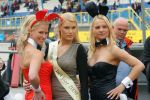 16-05-2010 AUTOSPORT: SUPERLEAGUE FORMULA: ASSEN
 
GIRL , BABE , GIRLS

FOTO: MARC JANS